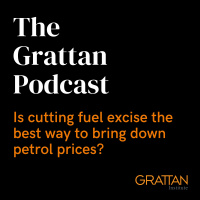 Is cutting fuel excise the best way to bring down petrol prices?