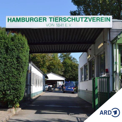 Ndr Info - Die Reportage