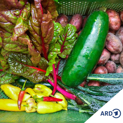 Ndr Info - Die Reportage