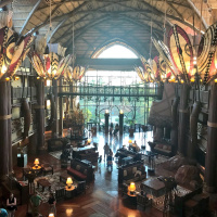Ep. 48 Resort Review of Disneys Animal Kingdom Lodge