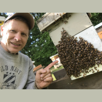 78: Georgia is a Great Place for Bees with Gene Rene