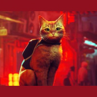 Episode 229: Little Idiots