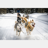 S2 Pre-race Coverage E3