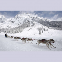 S2 Pre-race Coverage E2