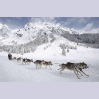 RACE COVERAGE Episode 15