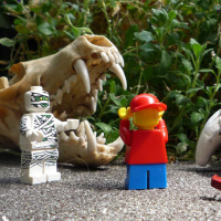 The Stuff of Nightmares