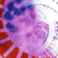 Arthur and Corinne Cantrill interview