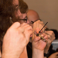 Scherbe 052 Podstock Spezial 2017