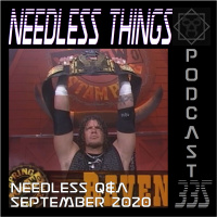 Needless Things Podcast 335: Needless QA September 2020