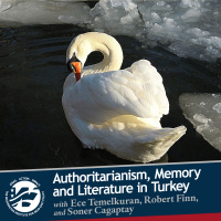 Authoritarianism, Memory, and Literature in Turkey