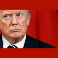 Nancy gets her vote for the TRUMP is A MADMAN Resolution today.