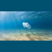 Richland County Council makes us feel good about 0 RESULTS in environment issues