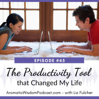 45: The Productivity Tool that Changed My Life