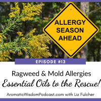 13: Ragweed and Mold Allergies: Essential Oils to the Rescue!