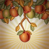 Episode 7 - Low Hanging Fruit