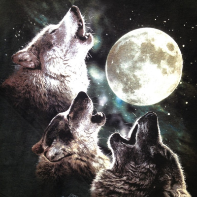 Wardens Of The Midwest Podcast