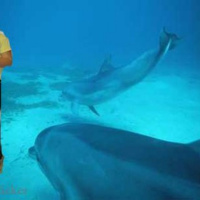 Whats Happening in the new year