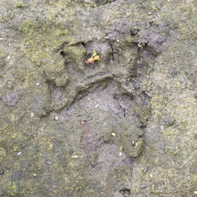 Our Blue World (formerly Big Blue Planet)