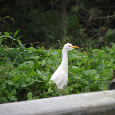Our Blue World (formerly Big Blue Planet)
