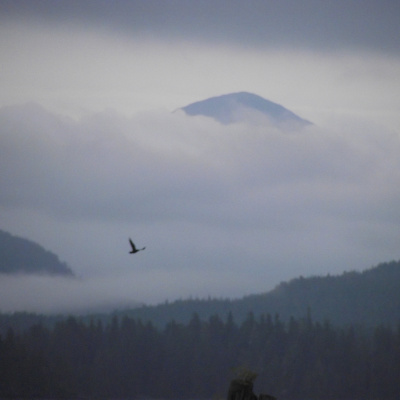 Our Blue World (formerly Big Blue Planet)