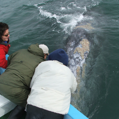 Our Blue World (formerly Big Blue Planet)