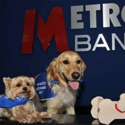 City Am Unregulated | Professional Development, Entrepreneur, Ceos, Communication, Leadership, Start Up, Business, Careers