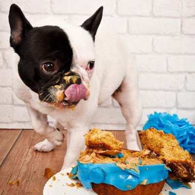 City Am Unregulated | Professional Development, Entrepreneur, Ceos, Communication, Leadership, Start Up, Business, Careers