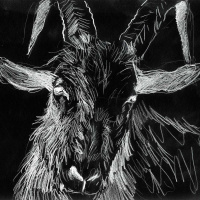 Flixwise: Canada Ep. 1 - The Witch