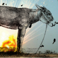 Flixwise: CANADA Ep. 20 - The Jackass Trilogy