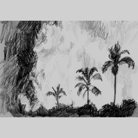 Episode 14: Apocalypse Now