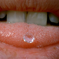 Flixwise: CANADA Ep. 39 – Deep End