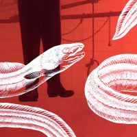 Flixwise: CANADA Ep. 9 – Shohei Imamura