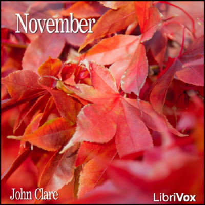 November by CLARE, John