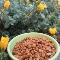 The One Constant is Change