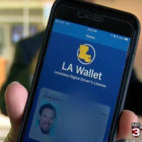 Down On Silicon Bayou