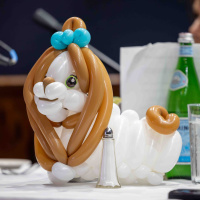 Biking Barroom Balloons