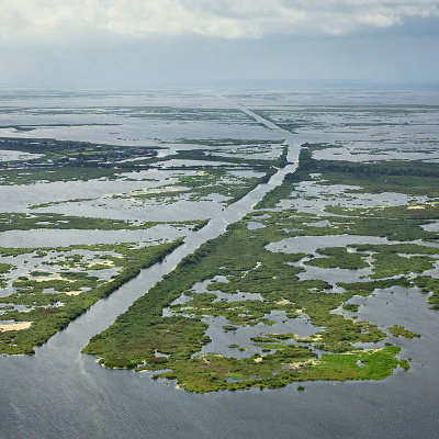 Its Baton Rouge: Out To Lunch