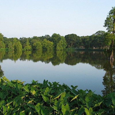 Its Baton Rouge: Out To Lunch