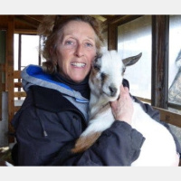 The Nightingale Family Embrace Goat Farming