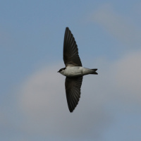 The Gettysburg Address