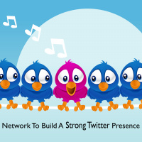 Network To Build A Strong Twitter Presence
