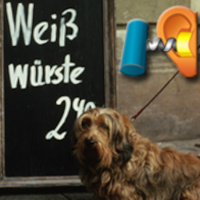 #024 Vierundzwanzig Stadtsätze