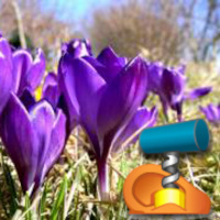 #004 Der Garten Gottes