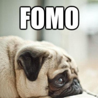 Where does the phrase FOMO come from?