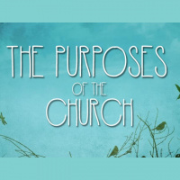 Purposes of the Church - Serve Like Jesus