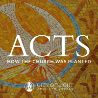 The Church Prays — Deacon Margie Fawcett