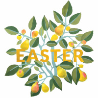 Celebrating Seeing Jesus — Father Trevor McMaken