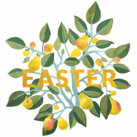 Jesus Resurrection Is Our Resurrection (Easter Sunday) — Father Trevor McMaken