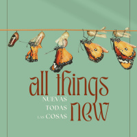 A Great Assurance (Romans 8:26-34) – Rachel Wassink