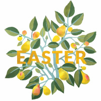 Celebrating the Holy Spirit — Grace Kircher